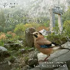 Pochette Birdsong Among the Ruins