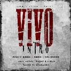 Pochette Vivo Intro