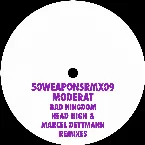 Pochette Bad Kingdom (Head High & Marcel Dettmann remixes)