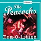 Pochette Dem-O-Lition