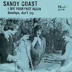 Pochette I See Your Face Again / Goodbye, Don't Cry