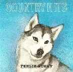 Pochette Country Hits