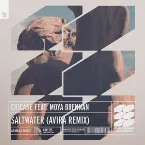 Pochette Saltwater (AVIRA remix)