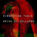 Pochette Brink of Collapse