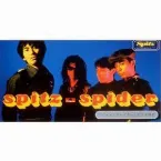 Pochette スパイダー