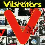 Pochette We Vibrate: The Best of the Vibrators