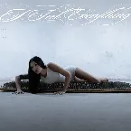 Pochette i feel everything