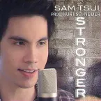 Pochette Stronger