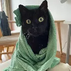 Pochette notes on making Waterlog