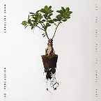 Pochette Let the Soil Play Its Simple Part