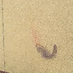 Pochette Eremition 3