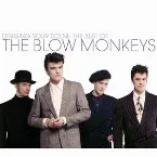 Pochette Digging Your Scene: The Best of The Blow Monkeys