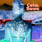 Pochette You Need to Calm Down (Clean Bandit remix)