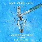 Pochette Indestructible (the remixes)