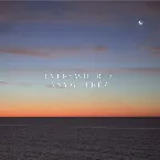 Pochette Everywhere / Anywhere /