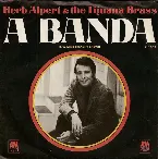 Pochette A Banda / Miss Frenchy Brown