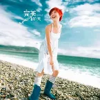 Pochette 完美的一天