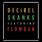 Pochette Skanks