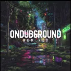 Pochette Remixed