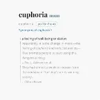 Pochette euphoria