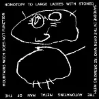 Pochette Homotopy to Large Ladies With Stoned Sardine in the Oven Who're Drinking With the Automating Metal Man of the Mountains Wich Does Not Function