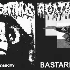 Pochette Sad Monkey / Bastard Breed