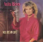 Pochette You Are My Life / Never Gonna Let You Down