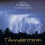 Pochette Thunderstorm