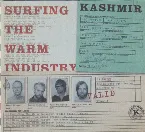 Pochette Surfing the Warm Industry
