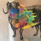 Pochette The Ox of Oh