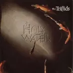 Pochette Holy Water