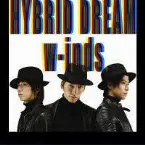 Pochette Hybrid Dream / Rain Is Falling