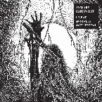 Pochette Live at Montreux Jazz Festival