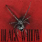 Pochette BLACK WIDOW