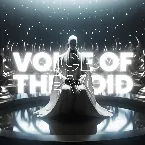Pochette Voice of the Void