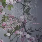 Pochette Earth / KK Null