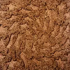 Pochette Unerthed: Hole Erth Unplugged