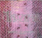 Pochette Riders on the Storm 2000 (the remixes)