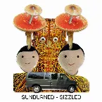 Pochette Sizzled