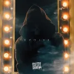 Pochette Evolve