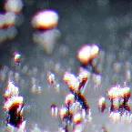 Pochette River's Other Side