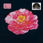 Pochette Tribute to Nirvana