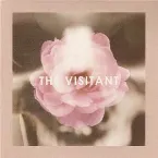 Pochette The Visitant
