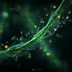 Pochette Microscopic Life