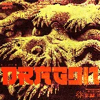 Pochette Dragon