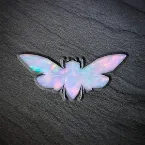 Pochette Metamorphosis