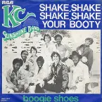 Pochette (Shake, Shake, Shake) Shake Your Booty