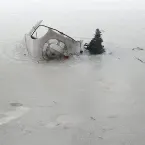 Pochette The Whole House