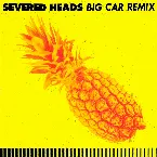 Pochette Big Car Remix