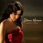 Pochette Camino verde